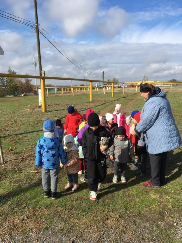 Муниципальное бюджетное дошкольное образовательное учреждение детский сад «Журавлик» х. Антонова Цимлянского района - Осенние дороги