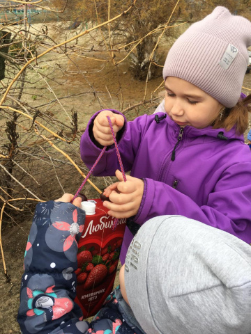 Помогаем пернатым друзьям