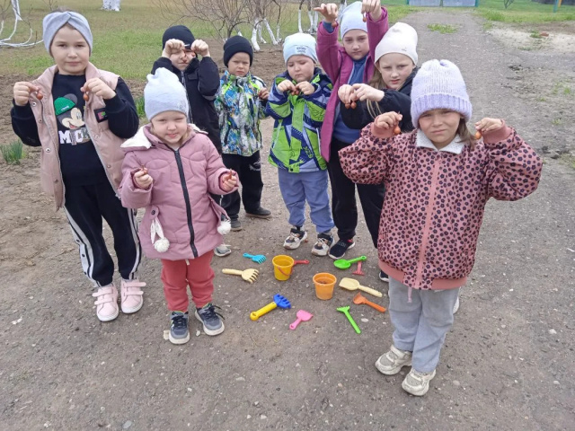 Огород на улице